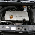 IMG_8193.JPG